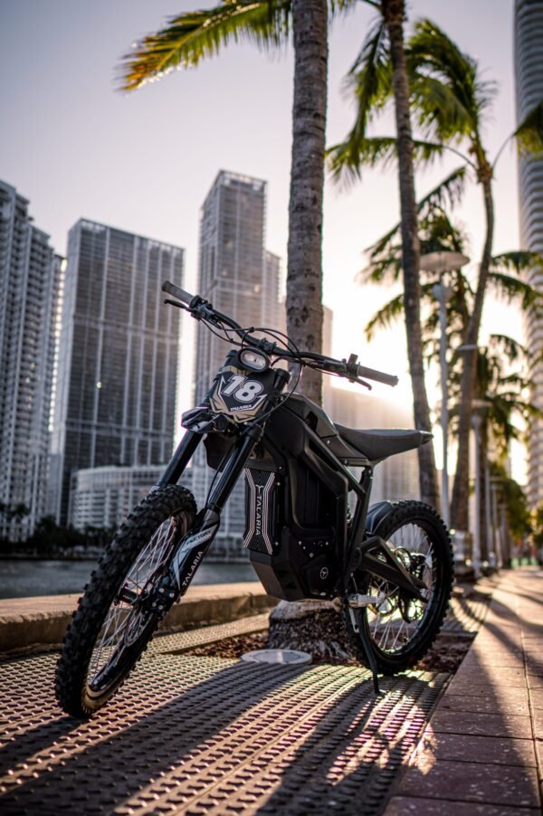 Talaria Sting TL3000 L1e - immagine 6